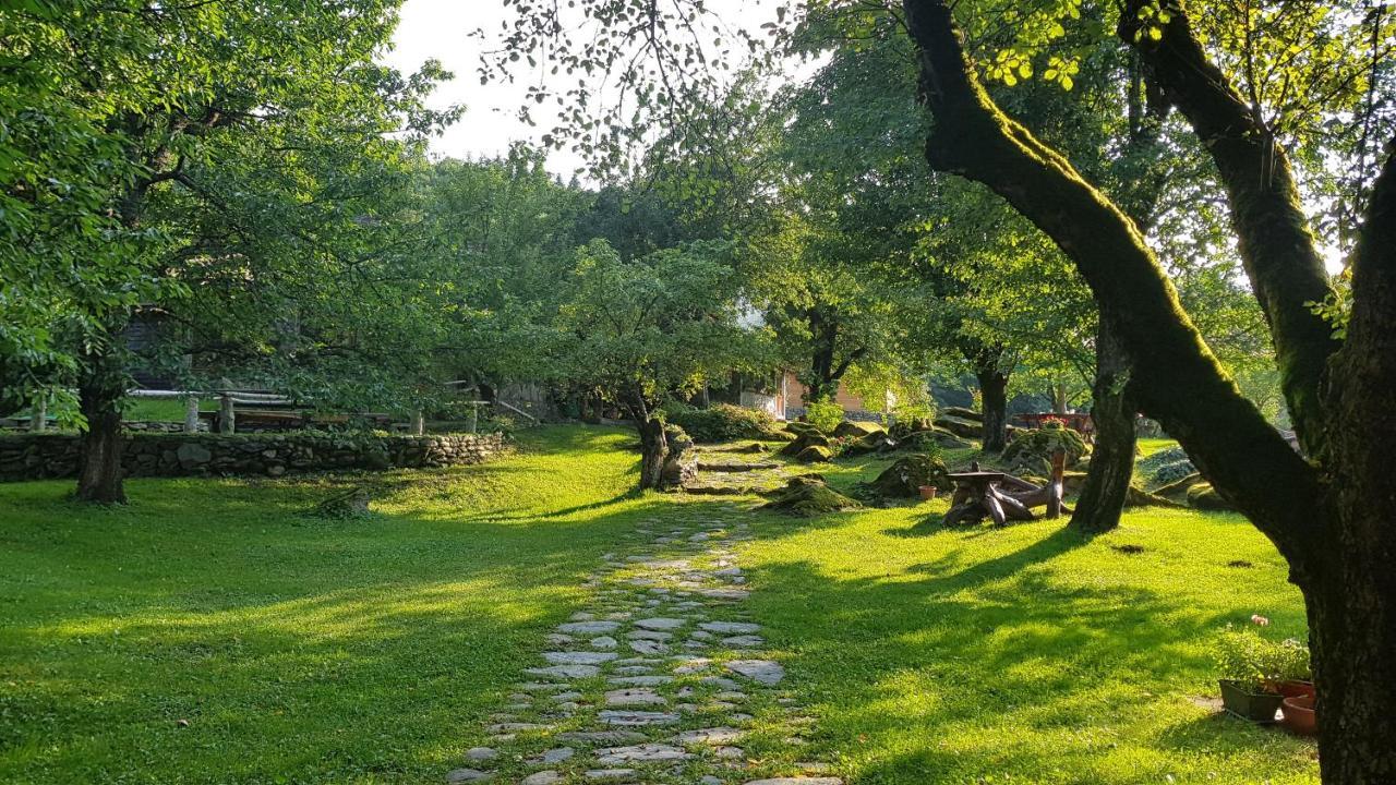 Villa Casa Bunicului Vistisoara Exterior foto